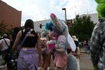 DSC_6512.JPG